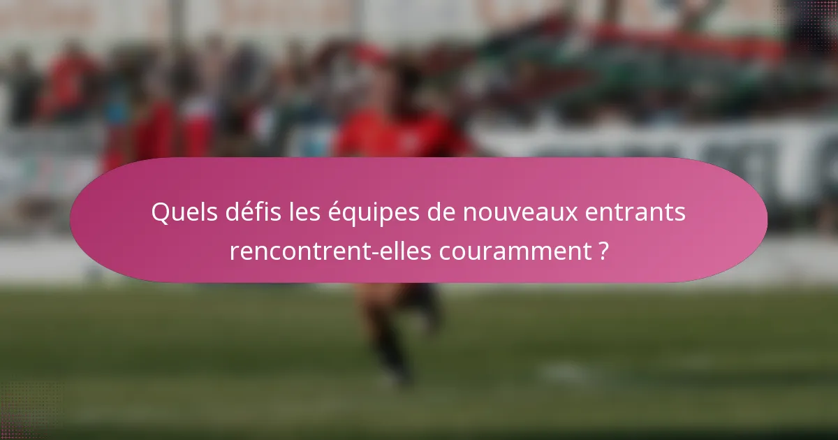 Quels défis les équipes de nouveaux entrants rencontrent-elles couramment ?